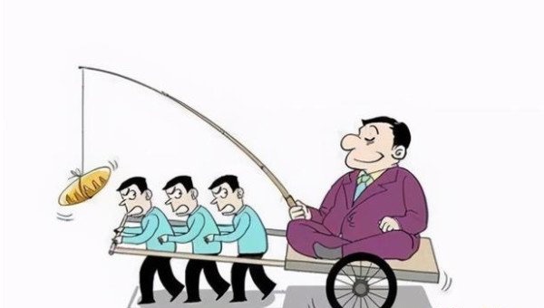 网络图片(侵删)