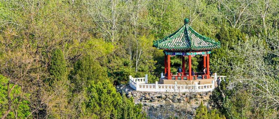 网络图片(侵删)
