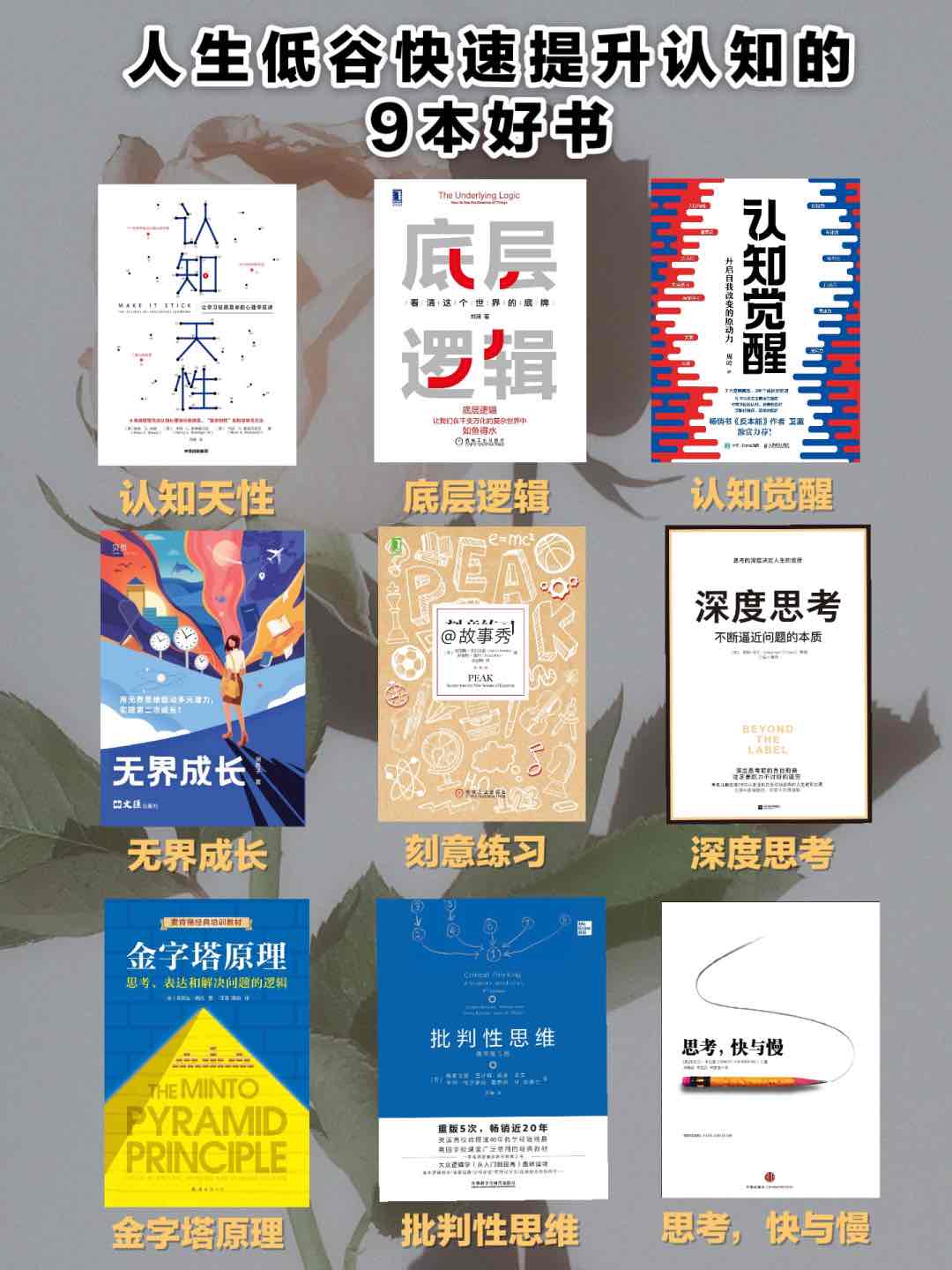 鍥剧墖