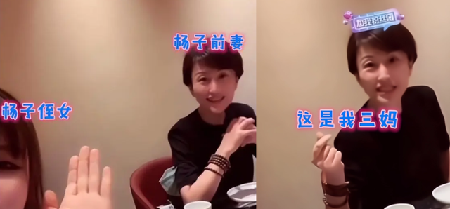 杨子前妻陶虹(杨子前妻 陶虹个人简介) 杨子 前妻 第7张
