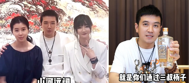杨子前妻陶虹(杨子前妻 陶虹个人简介) 杨子 前妻 第11张