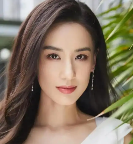 杨子前妻陶虹(杨子前妻 陶虹个人简介) 杨子 前妻 第2张