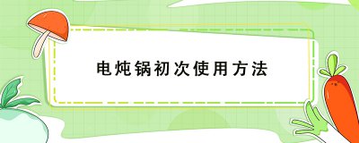 ​电炖锅初次使用方法