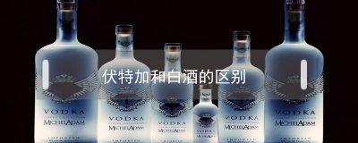 ​伏特加和白酒的区别