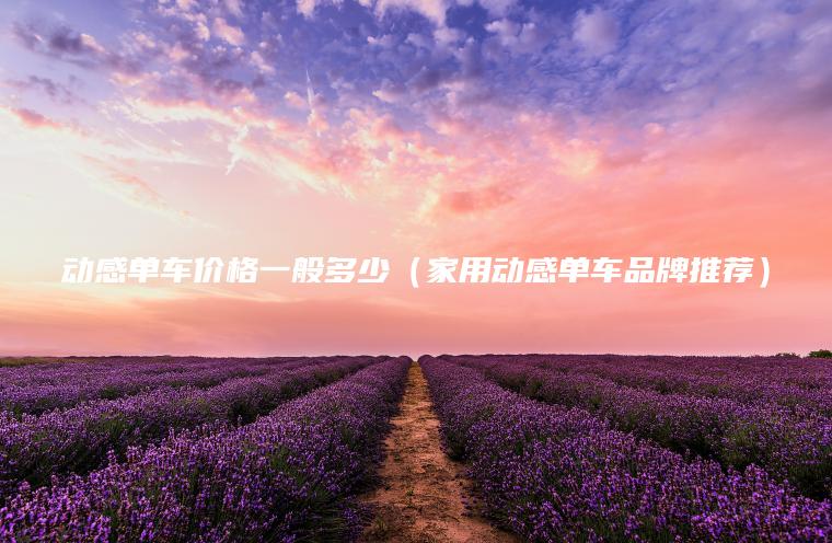 动感单车价格一般多少(家用动感单车品牌推荐)