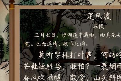 ​定风波苏轼原文