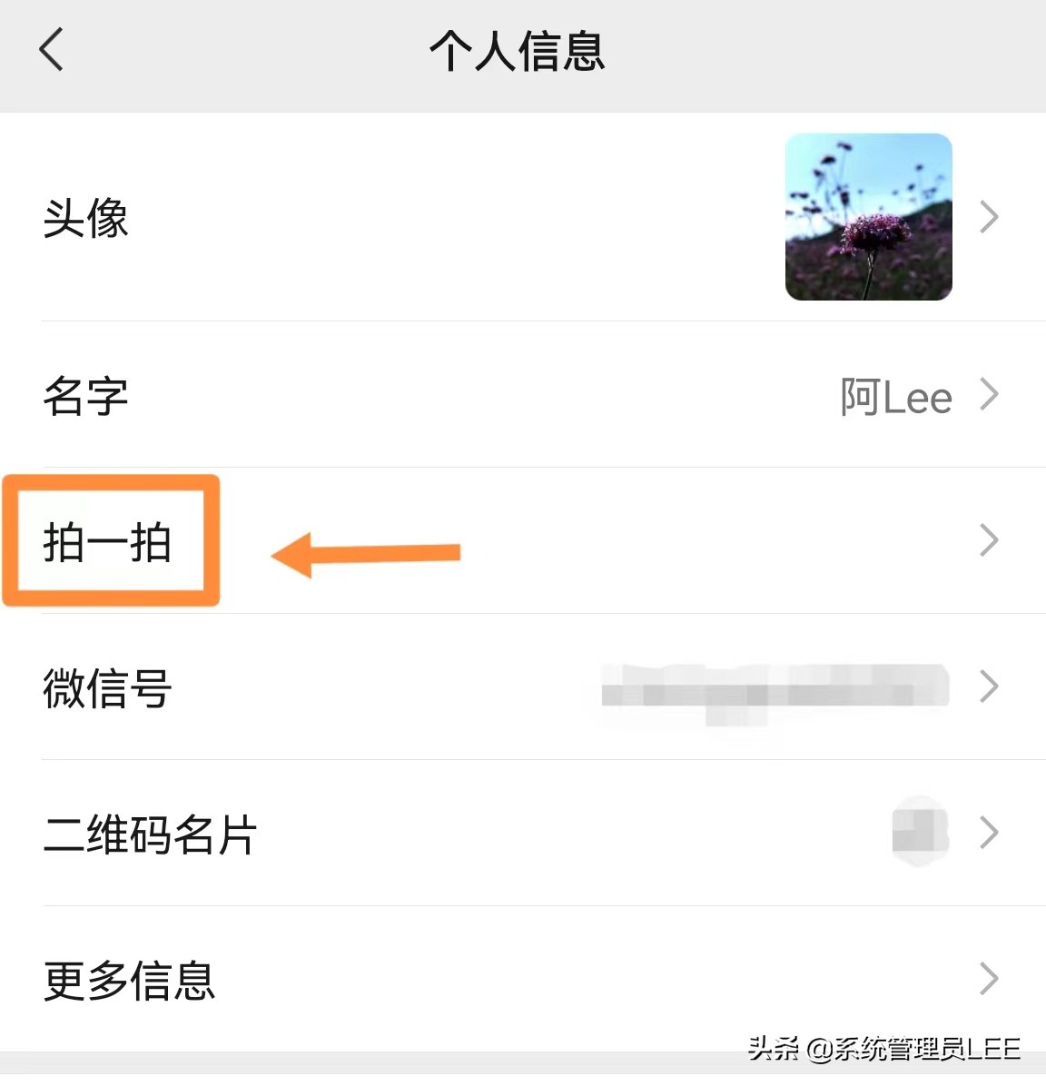 微信拍一拍怎么设置烟花（微信拍一拍如何设置看烟花）(图3)