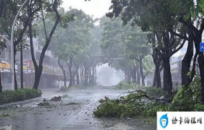 ​今年第1号台风“珊瑚”生成(2023年一号台风在哪生成)