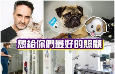 ​英宠物癌症医院将开幕 创欧洲先河