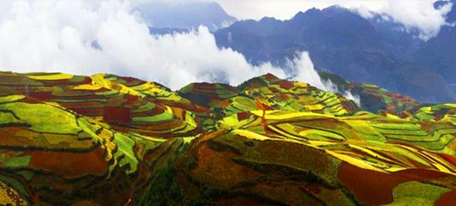 3月东川红土地拍摄攻略（上帝打翻的调色盘）(2)