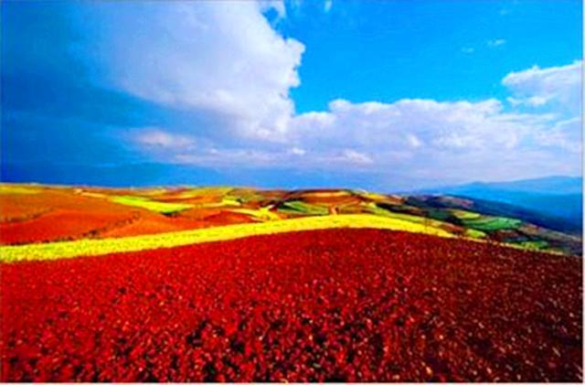 3月东川红土地拍摄攻略（上帝打翻的调色盘）(3)