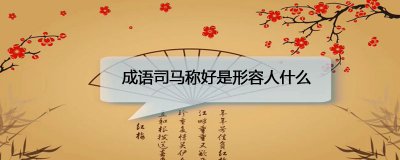 ​成语司马称好是形容人什么