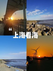 ​上海去哪里看海