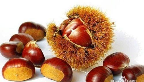 板栗是高热量食物吗