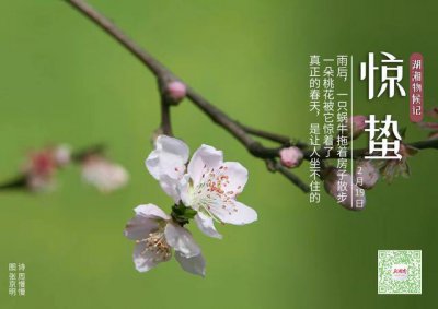 ​惊蛰的长沙记忆（湖湘物候记今日惊蛰）