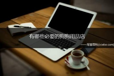 ​有哪些必要的狗狗用品店，宠物狗狗用品