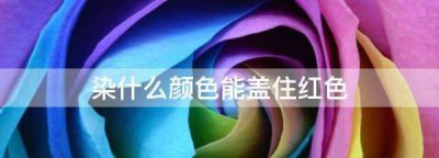 ​染什么颜色能盖住红色,红色染什么色能盖住