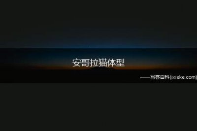 ​安哥拉猫体型，安哥拉猫贵不贵