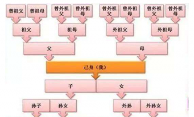 ​非直系亲属包括哪些人，非直系亲属可挂户口吗？