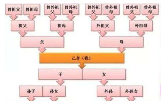 非直系亲属可挂户口吗