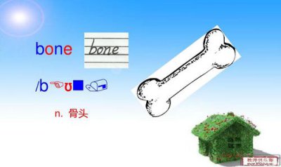 ​骨头用英语怎么说（怎么说骨头用英语）