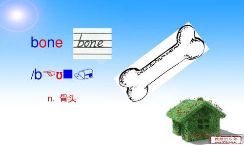 骨头用英语怎么说（怎么说骨头用英语）