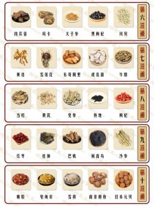 ​滋补品有哪些（送给需要的你）