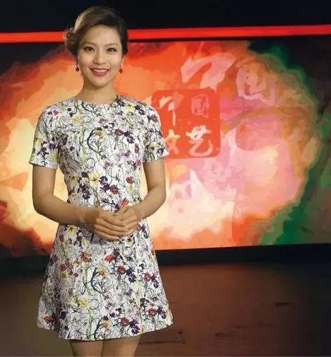 央视主持人孟盛楠简历（孟盛楠现在的生活）(3)