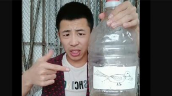 小鸟伏特加什么梗,雷霆嘎巴无情哈拉少小鸟伏特加歌曲什么意思图3