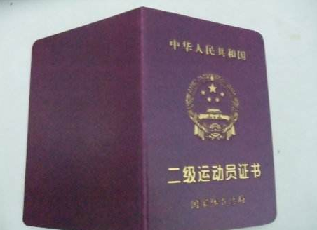实心球国家二级运动员标准,实心球2级运动员多少米图3