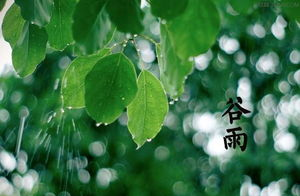 北方谷雨气温一般多少度,谷雨的气候特点有哪些图4