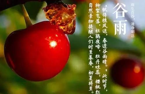 二十四节气谷雨是什么季节