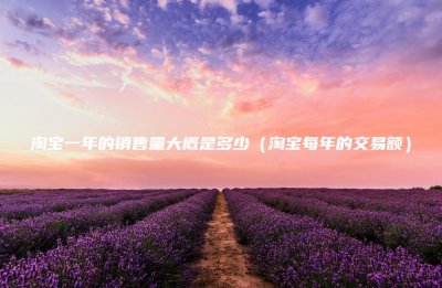 ​淘宝一年的销售量大概是多少(淘宝每年的交易额)