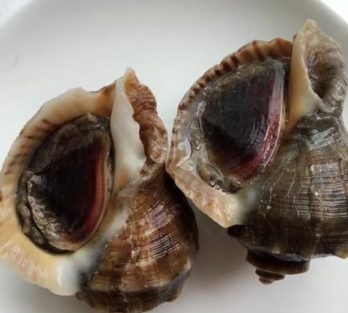 海螺的做法煮多长时间