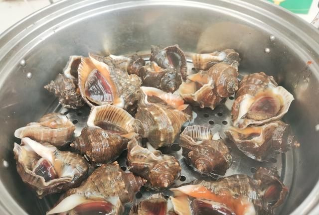 海螺肉煮多久