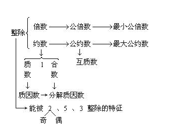 什么叫互质数的几个例子,什么样的两个数是互质数 有几种说几种图3