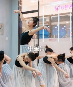 ​适合女生学的舞蹈种类,女生练什么种类的舞蹈较好