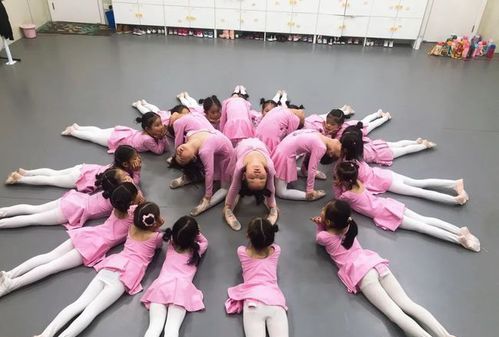 适合女生学的舞蹈种类：舞蹈种类有什么