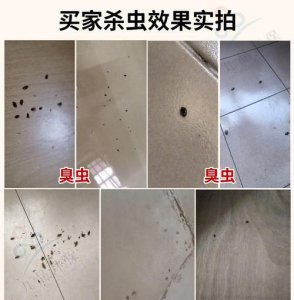 ​床上放什么可以驱臭虫,床上放什么臭虫不敢来 花露水
