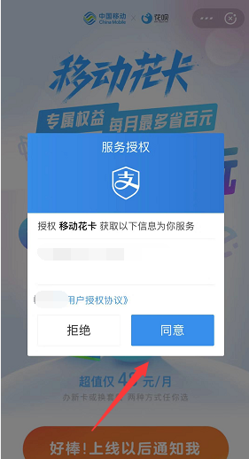 怎样确定自己的支付宝已经激活了