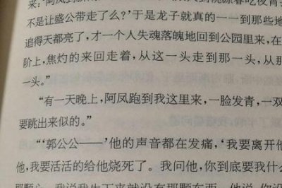 ​白先勇孽子结局