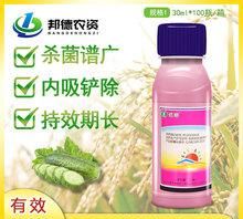 玉米上应该打什么杀菌剂主要预防什么病害