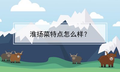 ​淮扬菜特点怎么样？(淮扬菜什么特点)