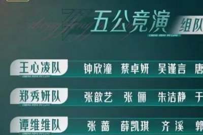 ​乘风破浪第一季总决赛最终排名