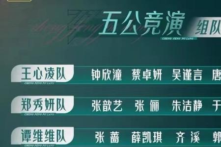 乘风破浪第一季总决赛最终排名