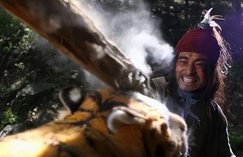 水浒传武松性格特征加上典型情节以及故事（武松性格特征分析及事例）(图2)