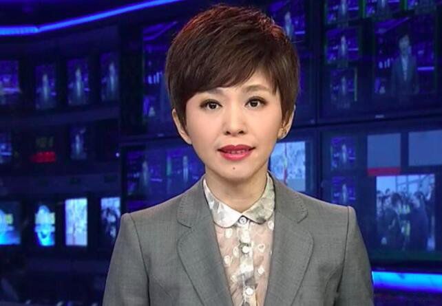央视主持人名单大全 六位央视主持人名单-图5