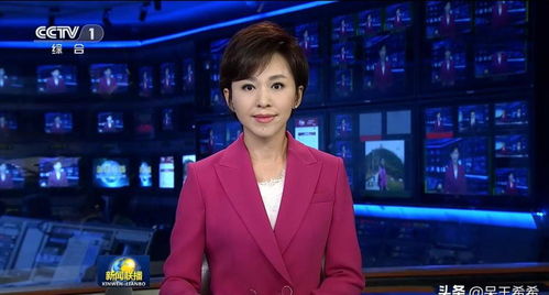 央视主持人名单大全 六位央视主持人名单-图8