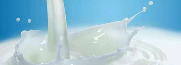 水牛奶为什么是甜的,百菲酪水牛奶口感怎么样图3