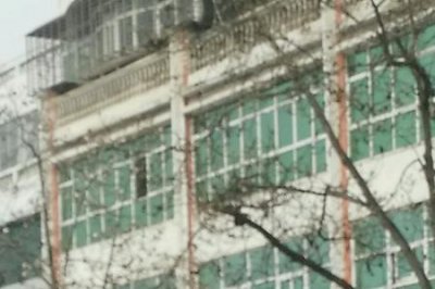 ​湖北省农村信用社是不是农商行